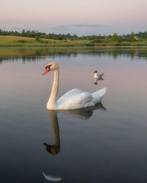 Какое фото больше понравилось? 07