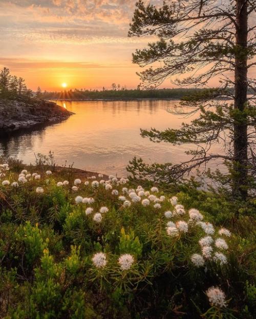 Какое фото больше понравилось? 04