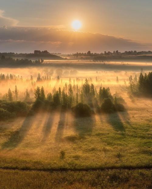 Какое фото больше понравилось? 05