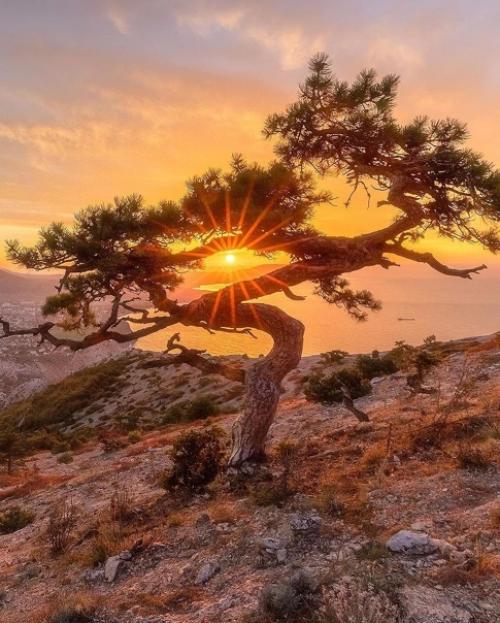 Какое фото больше понравилось? 09