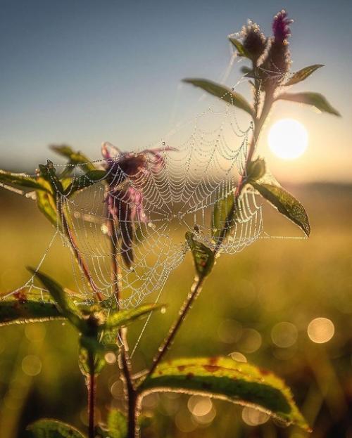 Какое фото больше понравилось? 06