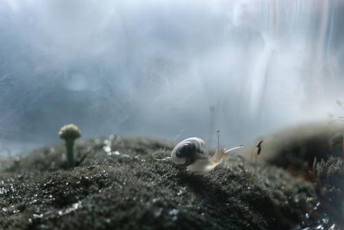 Теплое, уютное макро от фотографа Андрея пересунько. 03