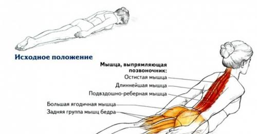 Одно - единственное упражнение исправит вашу осанку! 01 Одно - единственное упражнение исправит вашу осанку! 01