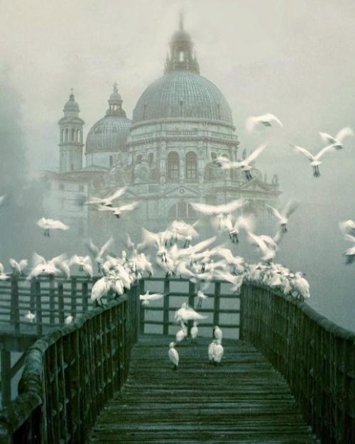 Как создавать шикарные топовые снимки в ТУМАН. 02 Как создавать шикарные топовые снимки в ТУМАН. 02