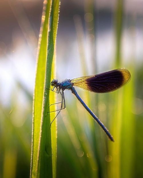 Какое фото больше понравилось? 08