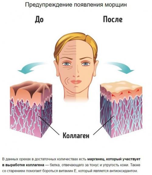 Что произойдет с телом, если съедать 4 миндальных ореха каждый день? 05