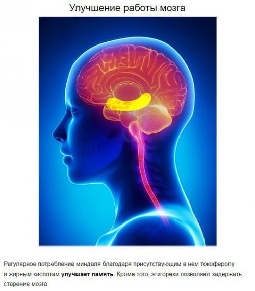 Что произойдет с телом, если съедать 4 миндальных ореха каждый день? 04