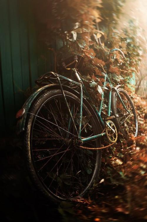 Очень атмосферные фото. 02