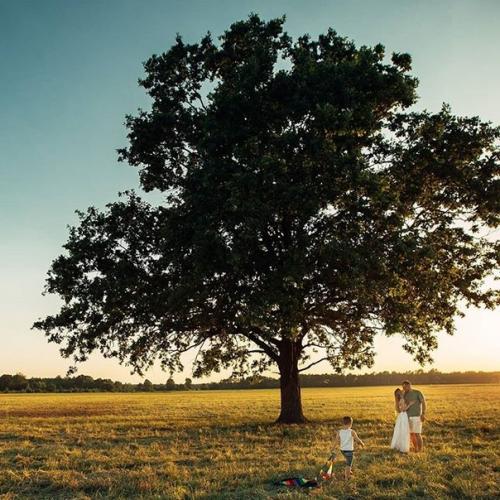 Фрагменты тепла и счастья в искренних и нежных снимках. 01