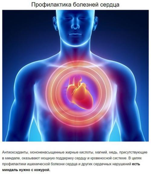 Что произойдет с телом, если съедать 4 миндальных ореха каждый день? 02