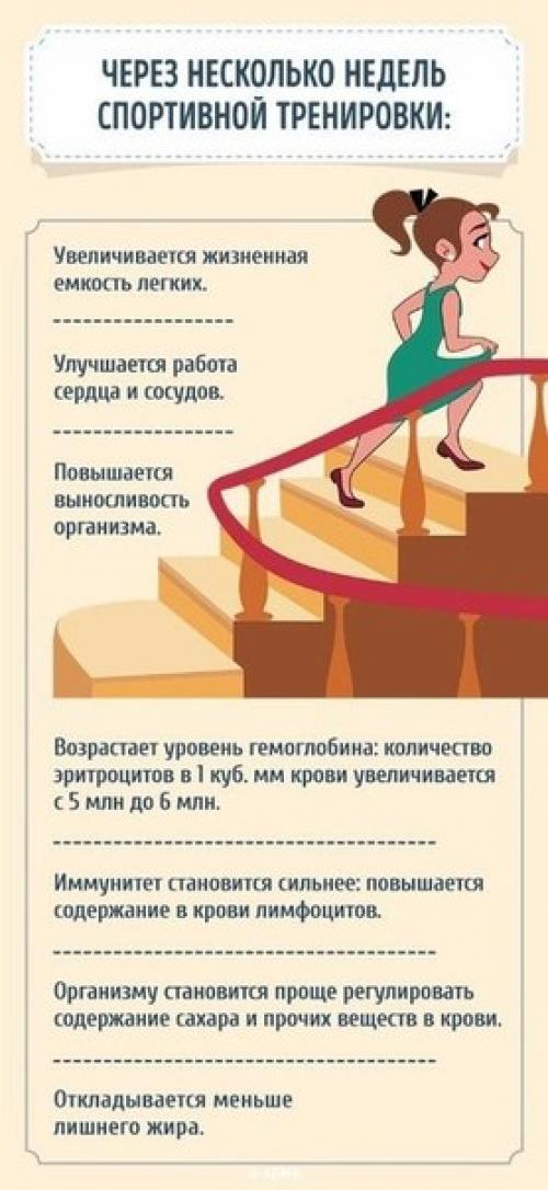 Что происходит с телом, если полчаса в день заниматься спортом. 04