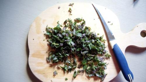 Одна крапива семерых лекарей заменяет. 01