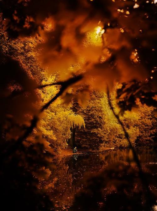 Очень атмосферные фото. 03