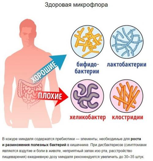 Что произойдет с телом, если съедать 4 миндальных ореха каждый день? 06