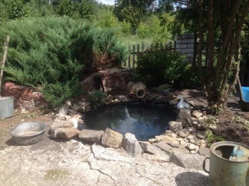 Решили сделать прудик своими руками на участке. 02