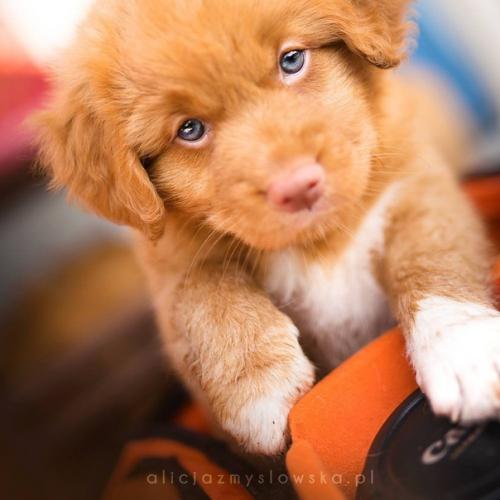 Немного милоты вам в ленту. 03