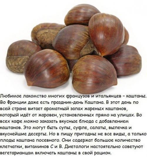 10 самых полезных орехов и их лечебные свойства. 01