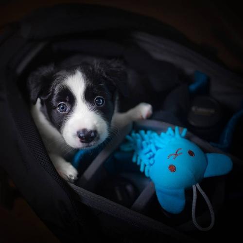 Немного милоты вам в ленту. 04