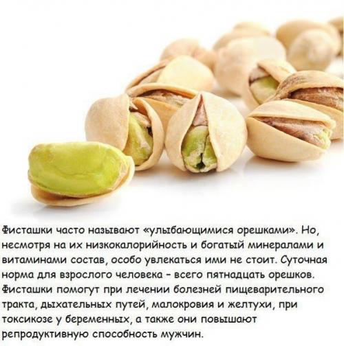 10 самых полезных орехов и их лечебные свойства. 03