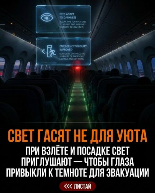 Крупные авиакомпании тщательно от пассажиров многие шокирующие секреты скрывают. 03