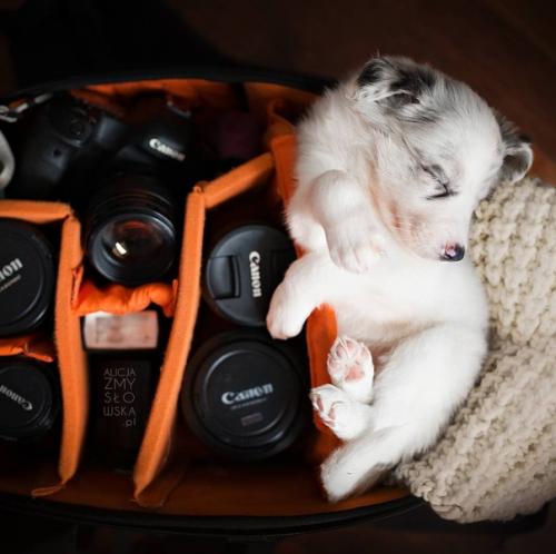 Немного милоты вам в ленту. 01