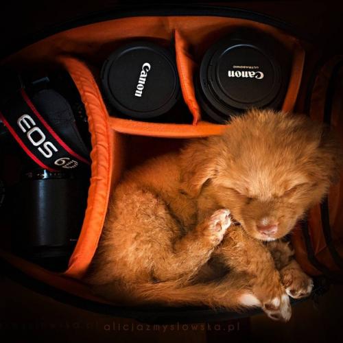 Немного милоты вам в ленту. 02