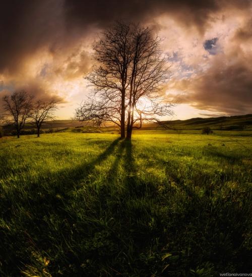 Я аромат дождя слышу. 04