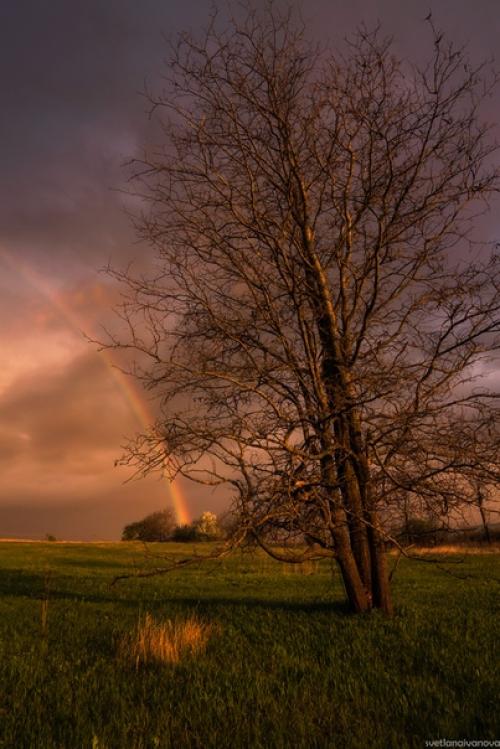 Я аромат дождя слышу. 03