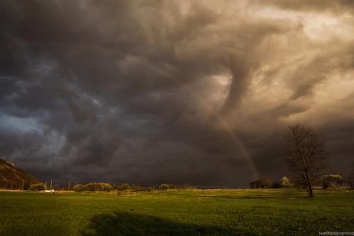 Я аромат дождя слышу. 01