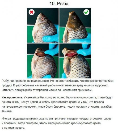 Как отличить качественную еду от химической, вредной для нашего здоровья? 09