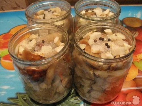 ? 10. Заготовок из грибов на зиму? 03 ? 10. Заготовок из грибов на зиму? 03