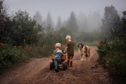 Meg Loeks - фотограф, а так же мама трех мальчишек, создает волшебные снимки детства своих взрослеющих детей. 04