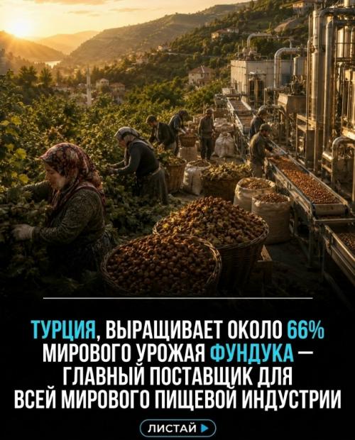 Планета зависит от производителей, чьи масштабы большинство людей даже не замечает. 02