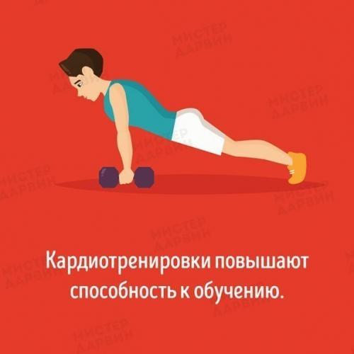 Как разные виды тренировок влияют на ваш мозг. 04