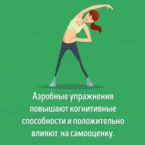 Как разные виды тренировок влияют на ваш мозг. 01