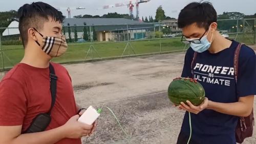 Студент из Сингапура Gameboy в арбузе сделал. 02