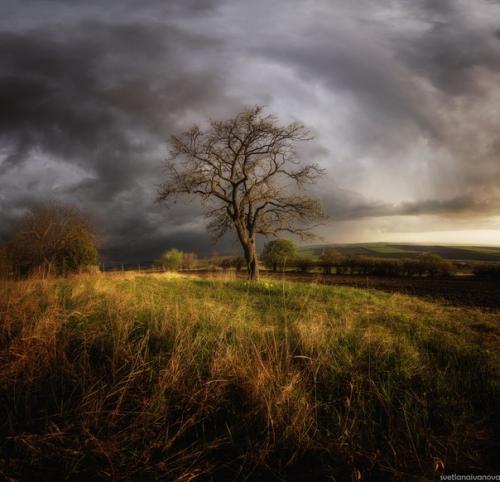 Я аромат дождя слышу. 02