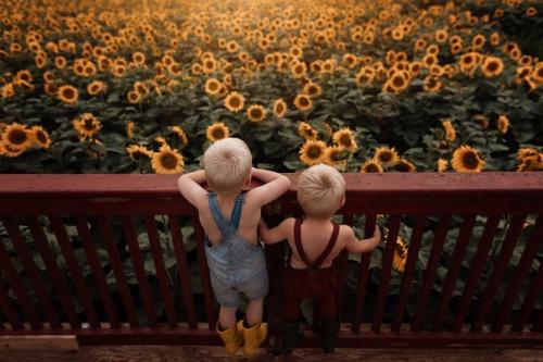 Meg Loeks - фотограф, а так же мама трех мальчишек, создает волшебные снимки детства своих взрослеющих детей. 01