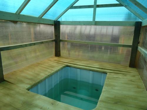 Алексей Москвин. Бассейн для внуков! 01