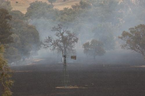 В Австралии сейчас идёт ливень именно там, где полыхал пожар! 03