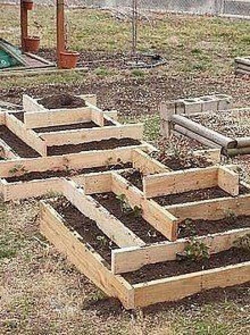 Выращивание клубники в пирамидах. 03