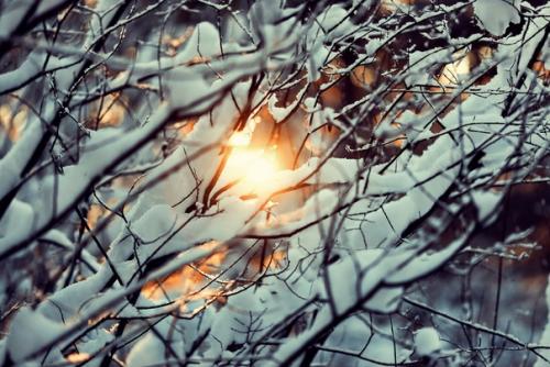 Прекрасный морозный солнечный денёк в объективе фотографа Анны Мельниковой. 04