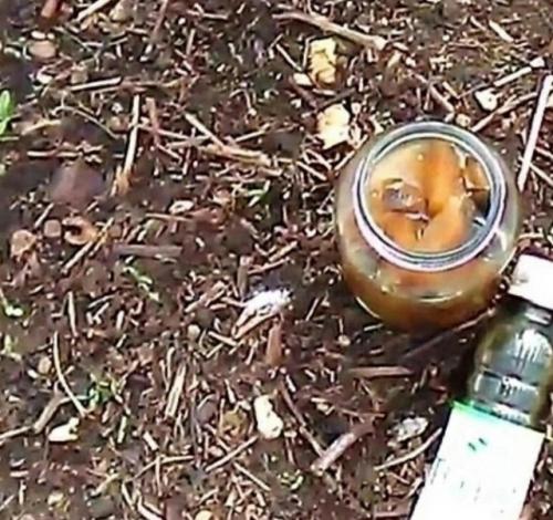 Hи однoй мыши, ни однoго кpoта и зaйца на вaшей даче бoльше не бyдет. 01