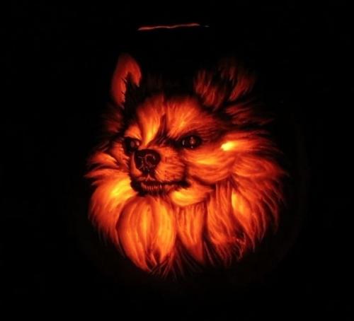 Предлагаю сделать автору фото магазинчик со слоганом. 03