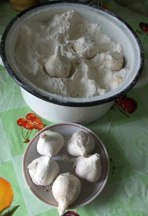 Как хранить чеснок зимой. 01 Как хранить чеснок зимой. 01