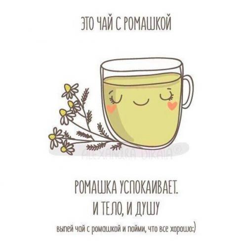 Всё, что тебе нужно - это чашка горячего чая. 01