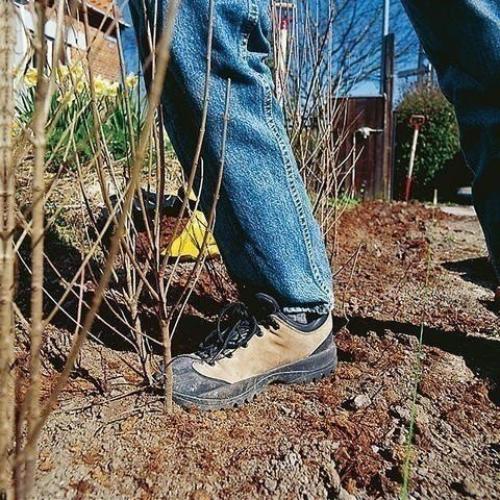 Мы делаем живую изгородь. 05 Мы делаем живую изгородь. 05