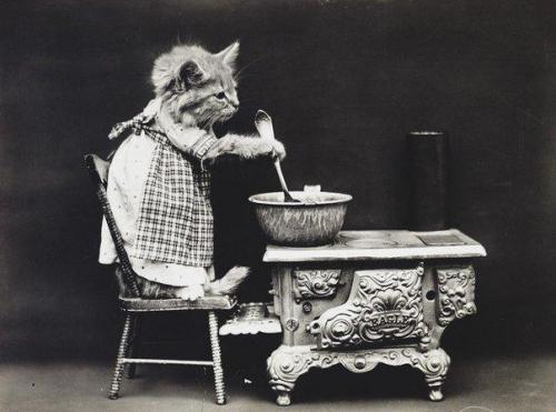 Снимки, сделанные около века назад. 07