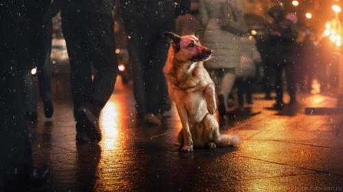 В эти дни каждому хочется поверить в чудо. 03