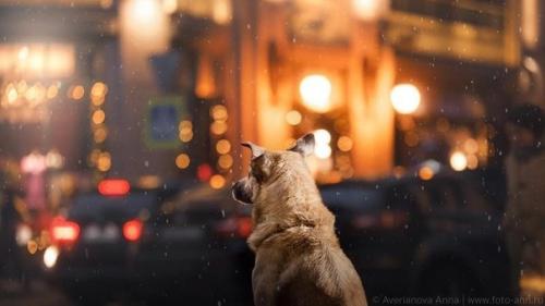 Праздник не в радость когда ты одинок. 01